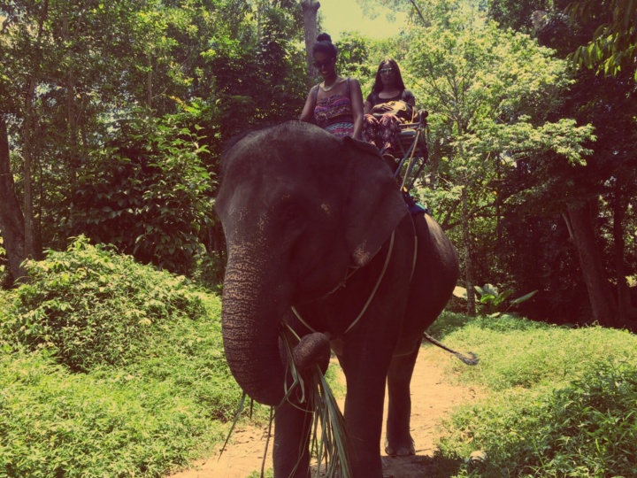 Zwei Menschen reiten auf einem Elefanten