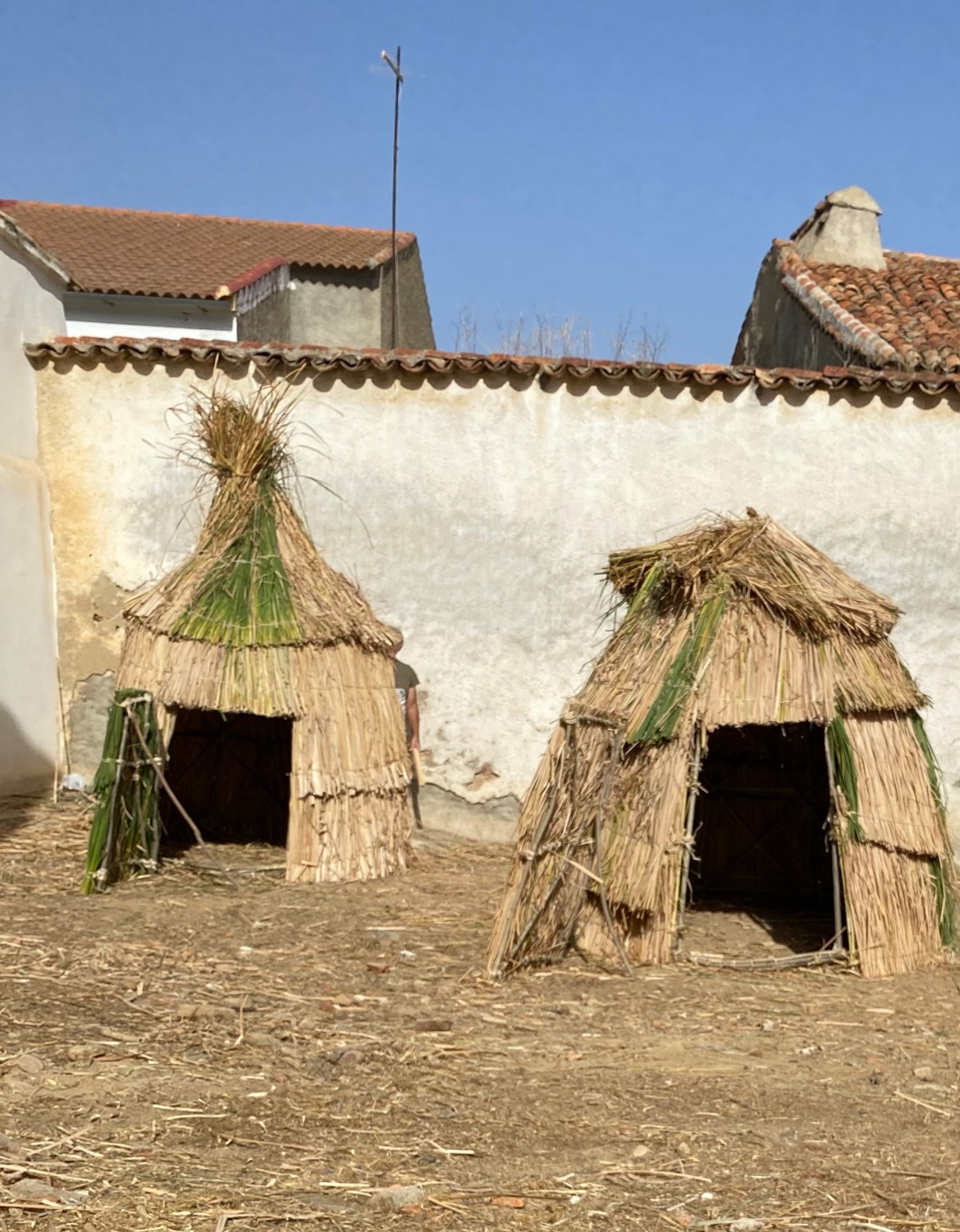 Two chozos built at the edge of a village wall. They are made of plant materials and wood.