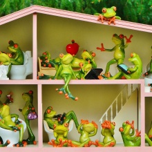 Symbol image of frogs in a dollhouse.
