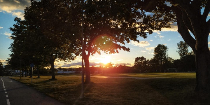 Sunset in the park 